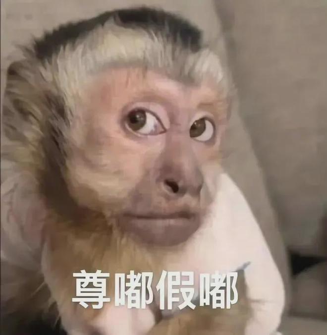 V女装走光的他是真疯了还是向家缺钱了CQ9电子登录向佐怎么癫成这样？穿深(图2)