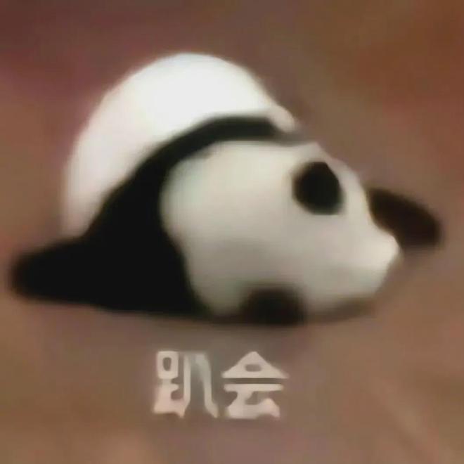 V女装走光的他是真疯了还是向家缺钱了CQ9电子登录向佐怎么癫成这样？穿深(图3)