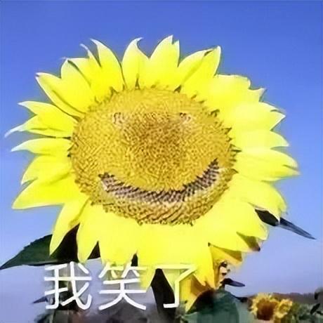 V女装走光的他是真疯了还是向家缺钱了CQ9电子登录向佐怎么癫成这样？穿深(图15)